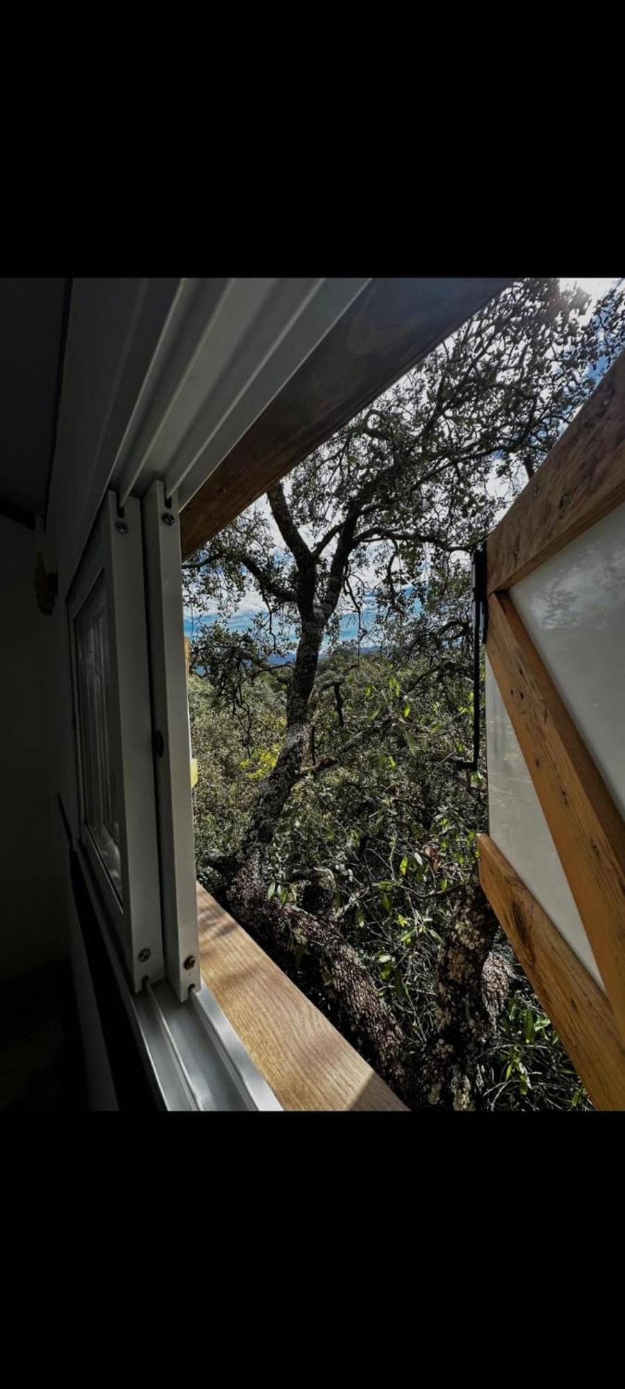 Cabana Del Arbol Lavagarural Villanueva del Rosario Esterno foto