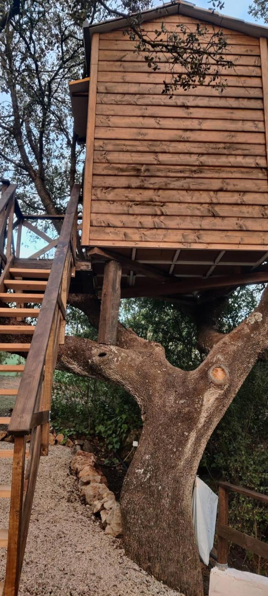 Cabana Del Arbol Lavagarural Villanueva del Rosario Esterno foto